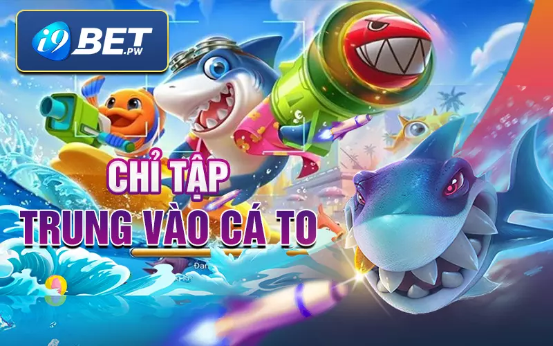 chi-tap-trung-vao-ca-to